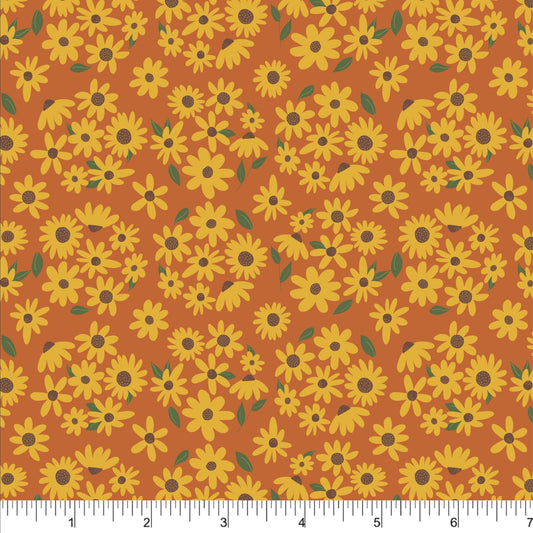 PH0246 Dizzy Daisies