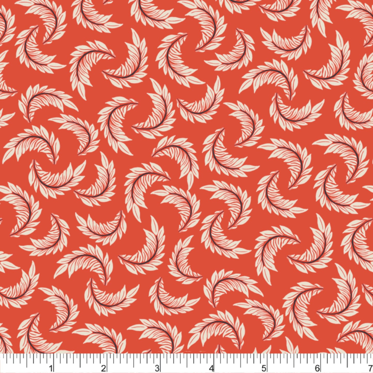 PH0593 Feathers