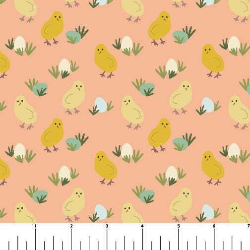 PH0262 Chick n' Eggs