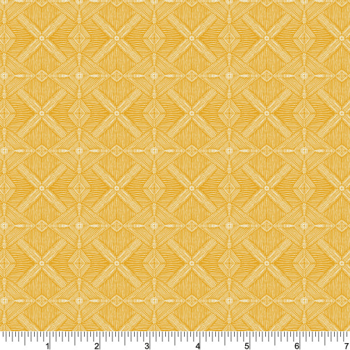 PH0528 Sun's Heartbeat