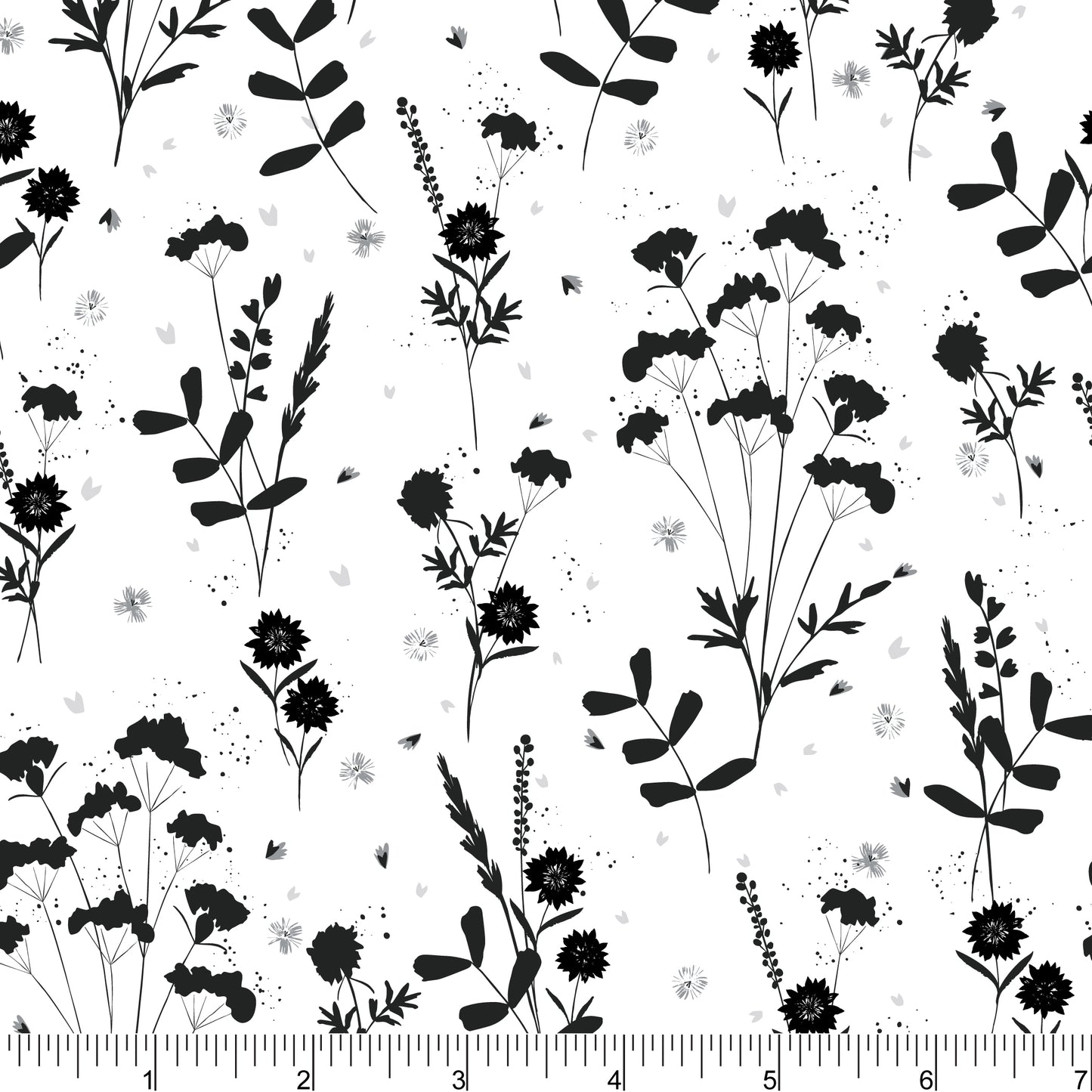 PH0849 Silhouette Floral Seed Heads
