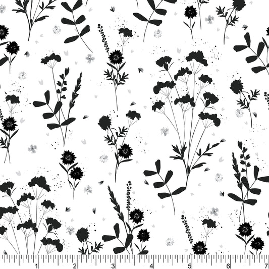 PH0849 Silhouette Floral Seed Heads