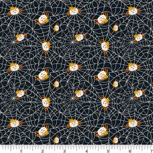 PH0684 Spinning A Web