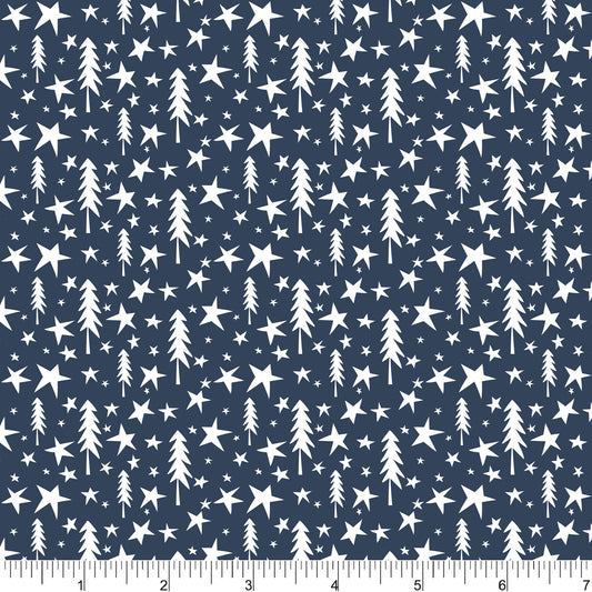 PH0701 Wish Upon A Star