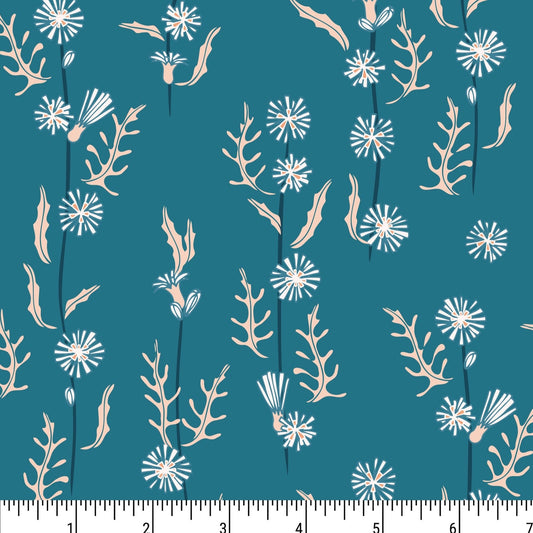 PH0114 Beaming Bloom