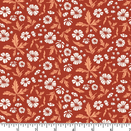 PH0113 Friendly Field