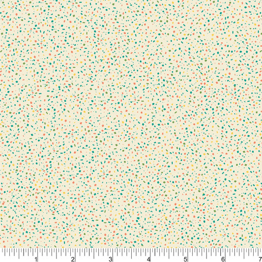 PH0187 Under the Stars