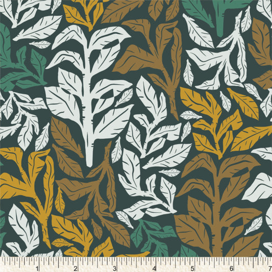 PH0781 Foliage