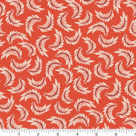 PH0593 Feathers