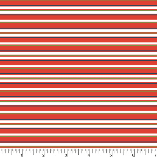 PH0702 Hit the Slopes Stripe