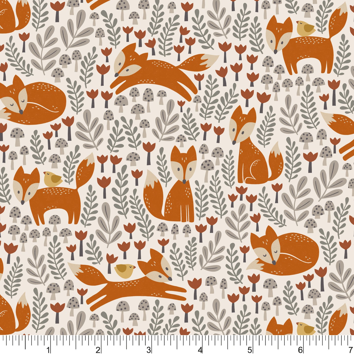PH0742 Little Foxes Cream