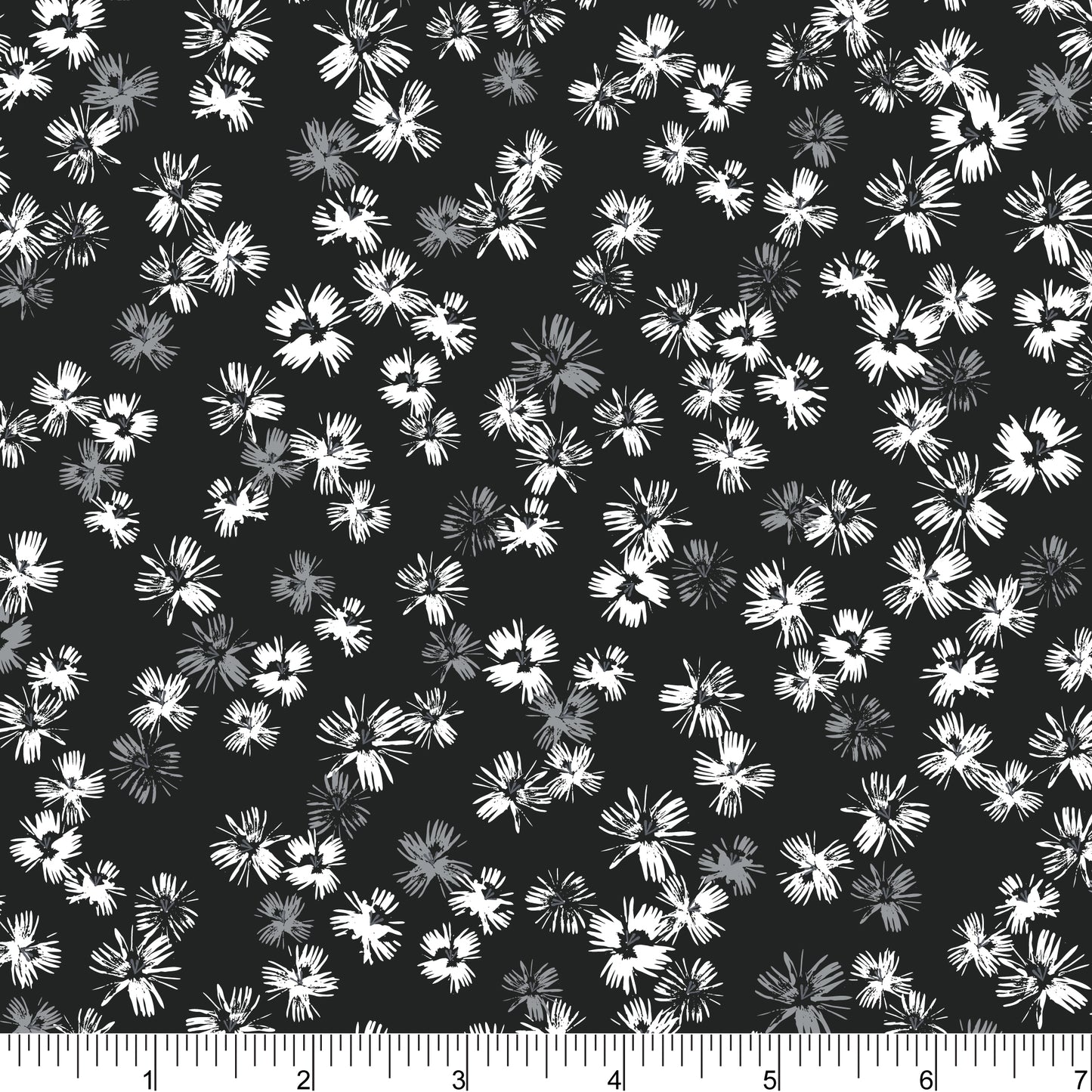 PH0841 Brush Mark Daisy