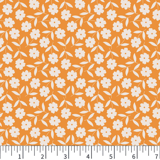 PH0924 Little Orange Blooms